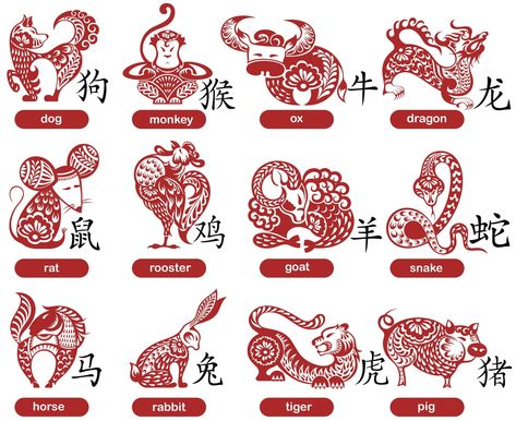 The 12 animals of the Chinese zodiac. Photo: Shutterstock Chinese New Year Facts, 12 Chinese Zodiac Signs, Chinese Lunar Calendar, Zodiac Wheel, Zodiac Years, New Years Traditions, Zodiac Calendar, Chinese Astrology, Animal Symbolism