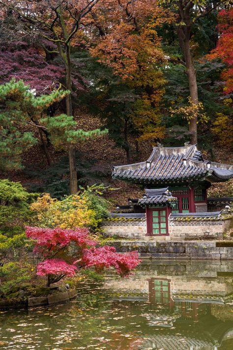 Changdeokgung Palace, Japan Village, China Aesthetic, Environment Photography, Japanese Village, On Hiatus, Chinese Art Girl, Korea Travel, Roof Detail