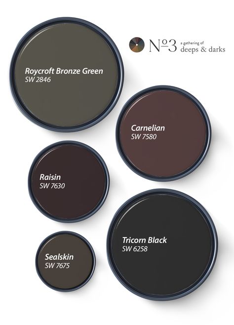 Our Favorite Deeps and Darks of 2024 | Tinted Deep Color Bathroom, Moody Home Paint Colors, Sherwin Williams Dark Moody Colors, Dark Clove Sherwin Williams Paint, Sherwin Williams Dark Bedroom Colors, Bathroom Dark Paint Colors, Juniper Berry Paint Color, Moody Bathroom Paint Colors Sherwin Williams, Dark Behr Paint Colors