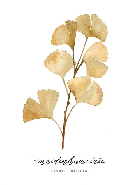 Gingko Art, Ginko Biloba, Paper Frame, Watercolor Leaves, Botanical Wall Art, Giclée Print, Watercolor Cards, Modern Calligraphy, Botanical Illustration