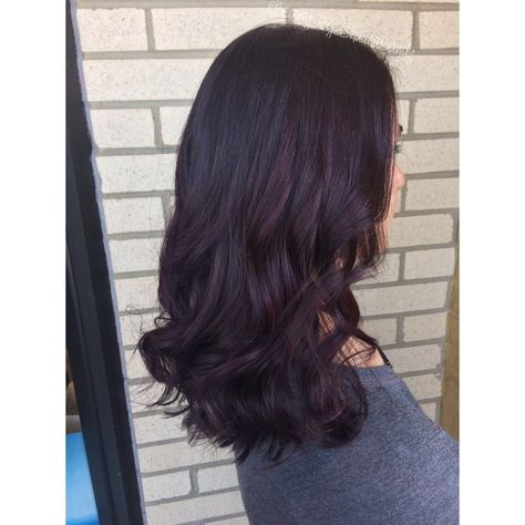 Violet Brown Hair Color Brunettes, Dark Brown Hair With Dark Purple, Dark Brown Violet Hair, Dark Violet Balayage, Brown Violet Hair, Dark Purple Brown Hair, Dark Brown Hair With Purple Tint, Dark Brown Hair With Violet Undertone, Violet Undertones Hair Dark Brown