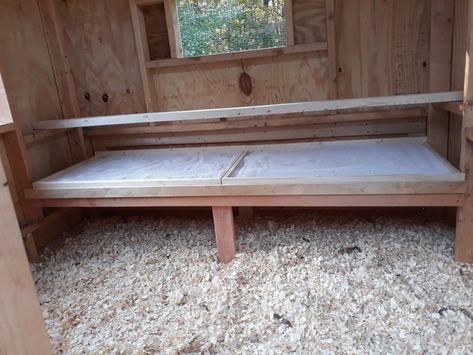 Chicken Roost, Chicken Coop Decor, Chicken Poop, Backyard Chicken Coop Plans, Chicken Coup, Coop Design, Chicken Coop Designs, Chicken Coop Plans, Backyard Chicken Coops