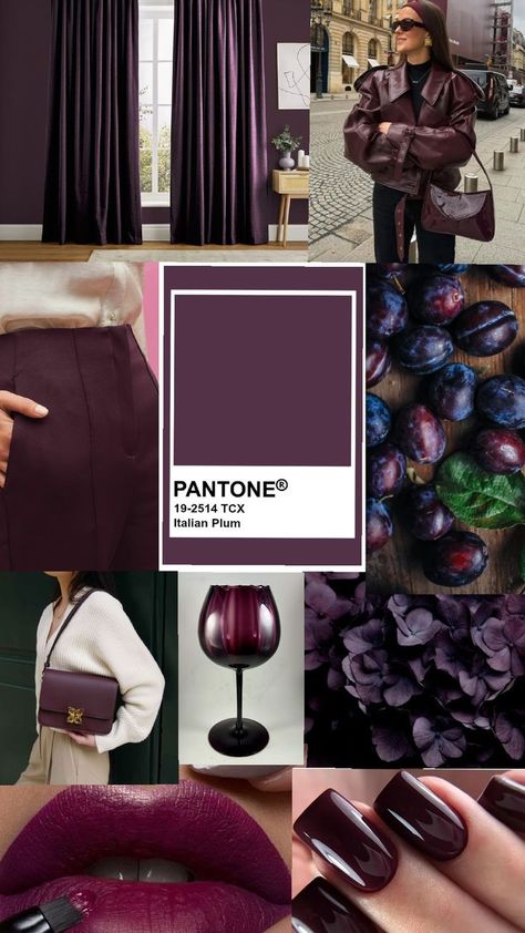 Plum Color Palette, Deep Winter Palette, Colour Combinations Fashion, Winter Color Palette, Deep Autumn, Color Trends Fashion, Fall Leggings, Autumn Winter 2024, Deep Winter