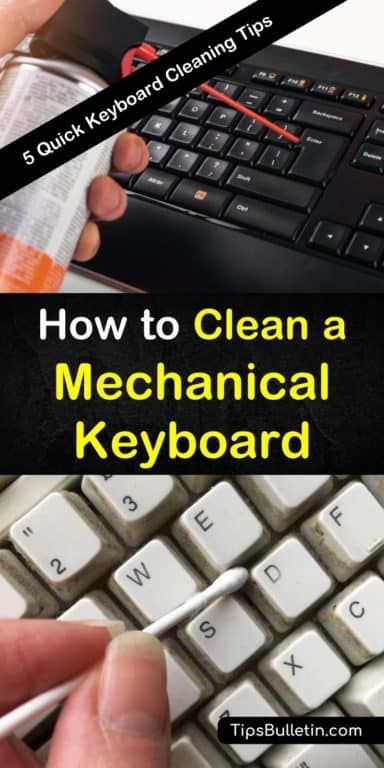 Here are some DIY life hacks on how to clean a mechanical keyboard with homemade cleaning products. Learn the best ways to remove grime and loosen sticky keys on the desktop, laptop, and other high tech equipment. #keyboardcleaning #mechanicalkeyboard #cleankeyboard How To Clean Keyboard, Cleaning Up Your Computer, Computer Screen Cleaner, Vehicle Detailing, Function Keys On Keyboard, Clean Keyboard, Glass Cleaning Solution, Keyboard Hacks, Clear Mechanical Keyboard