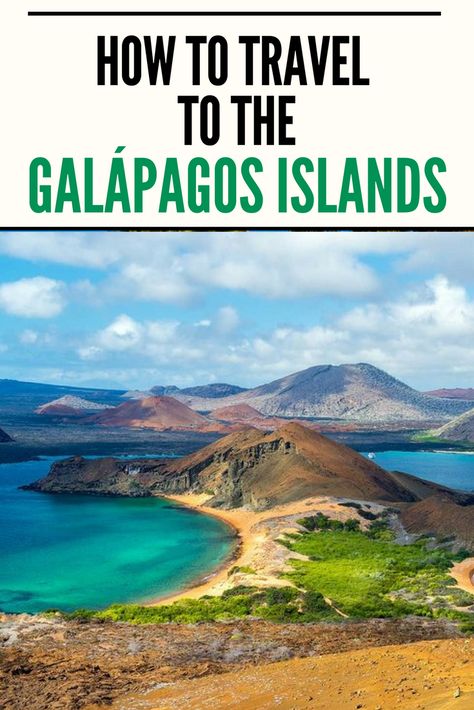 Galapagos Islands Travel, Galapagos Island, Dreamy Destinations, South America Travel Destinations, Volunteer Travel, South America Destinations, Ecuador Travel, Travel Trends, Cruise Destinations