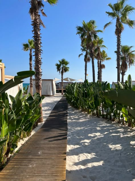 a picture of the seaside of a hotel in Antalya/ Turkey called Regnum Carya with beautiful palm trees and white sand Antalya Turkey Beach, Antalya Aesthetic, Turkey Resorts, Summer Places, Turkey Summer, Turkey Beach, Golden Coast, City Island, Antalya Turkey