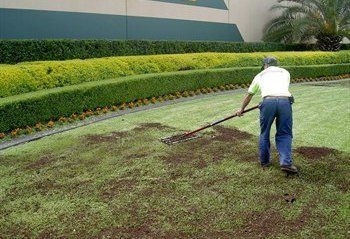 Reseeding Lawn, Aerate Lawn, Diy Lawn, Lawn Care Tips, Lush Lawn, Lawn Sprinklers, Raised Garden Beds Diy, Lawn Maintenance, Lawn Edging