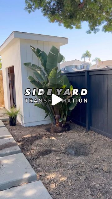 Ben |  Fredrickson Landscape, Inc. on Instagram: "Would you get an outdoor shower?💦 Details👇🏼

Outdoor shower (get the one with the foot tap) by @sgooutdoorshower 

Ipe wood deck (unsealed but that was just my preference) and cedar 2 x 2 fence.

Plants: Giant Birds of Paradise, Dioon, snake plant, acacia cousin itt, lomandra breeze to name a few.

My go-to low flow irrigation @netafim_usa 

Mohave rock as finish material. (I don’t recommend weed fabric before planting!!! Check out my blog highlight to see why and what I use instead.)

I hope you guys like these yard transformation breakdowns🥰

What would you put in your special shed??🤔
______________________

 ⁣#beforeandafter #renovation #renovating #landscaping #landscaper #yard #outdoorliving #landscapedesigner #landscapingideas #o Northern California Landscaping, Giant Bird Of Paradise Landscape, Backyard Tropical Landscaping, Tropical Side Yard, Florida Side Yard Landscaping, Palm Trees Backyard, Snake Plant Outdoor Landscape, Bird Of Paradise Plant Outdoor Landscape, Bird Of Paradise Landscaping