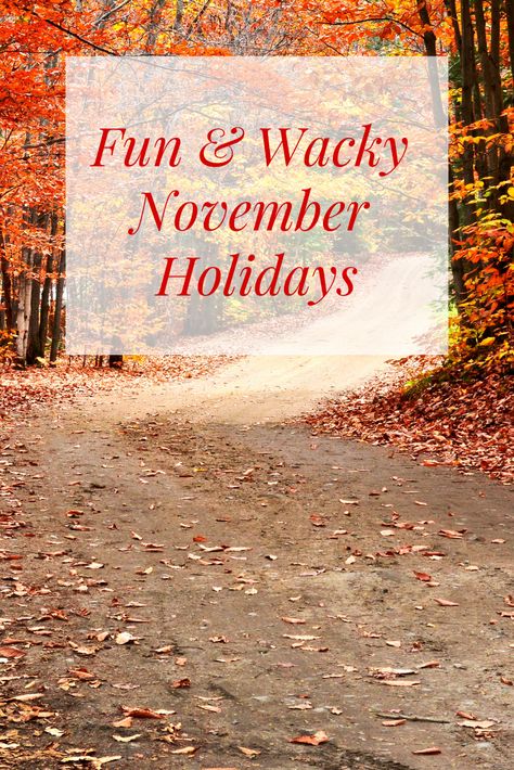 Ask anyone what holiday falls in November and they'll likely say Thanksgiving.   But it turns out there are lots of other holidays and events happening this month too! November Celebrations, Holidays In November, November Themes, November Vibes, Silly Holidays, Monthly Celebration, Holiday Facts, November Holidays, Monthly Activities