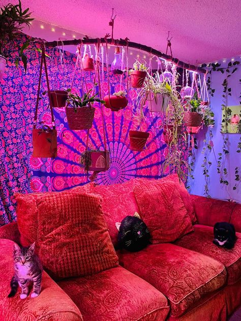 Trippy Plant Room Aesthetic, Ally Nicole House, Couch In Room Aesthetic, Sesh Room Ideas, Trippy Home Decor, Sesh Shed Ideas, Hippy Living Room, Hippie Living Room Ideas, Trippy Living Room