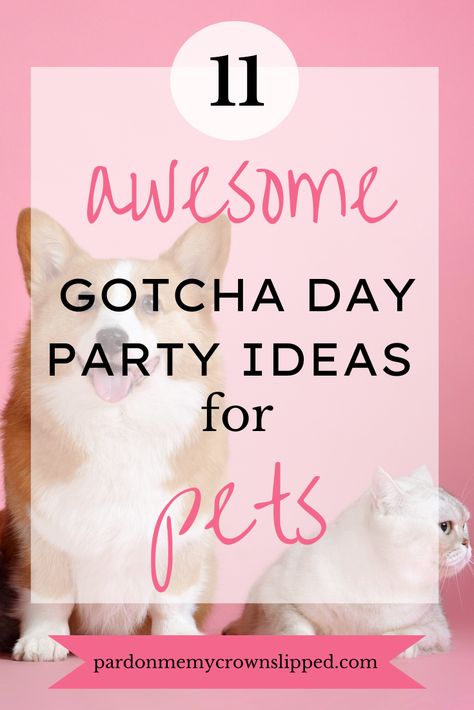 Special Photoshoot, Paw Print Art, National Pet Day, Relationship Posts, Activities For Teens, Party Projects, Gotcha Day, Family Pets, Teen Party