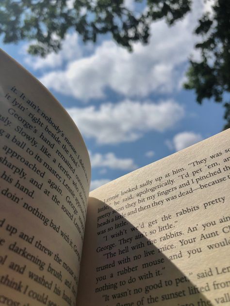 book sun picnic holiday aesthetic summer bucket list The Sun, Sun, Books, On Instagram, Blue, Instagram