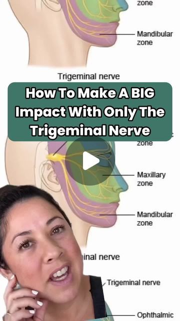 Missy Bunch | Movement + Neurology for Pros 👀🧠💪🏽 on Instagram: "🚨 Are your clients dealing with persistent jaw pain? Or maybe they’re grinding their teeth and feeling numbness in their face?  Follow the neuroanatomy of this nerve and see what else you can come up with!  💡 It’s easy to blame stress or assume it’s just “how they are,” but the real culprit might be the trigeminal nerve—the largest cranial nerve responsible for facial sensation. When this nerve gets irritated, it can trigger TMJ pain, jaw tension, and numbness.  👉 Save this post for your client toolbox and share it with fellow pros who work with clients suffering from these symptoms. This could be a game changer in your approach for jaw issues!  🧠 Think of the trigeminal nerve as the main highway for messages between t Trigeminal Neurology, Trigeminal Nerve Pain Relief, Feeling Numbness, Trigeminal Nerve, Tooth Nerve, Side Of Face, Tooth Filling, Facial Nerve, Jaw Pain