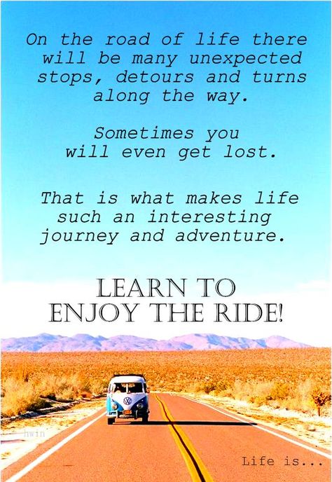 Life is a journey!  Learn to enjoy the ride! Enjoy The Journey Quotes, Little Mermaid Quotes, Ride Quotes, Life Journey Quotes, Swan Quotes, Childrens Book Characters, Unforgettable Quotes, The Journey Quotes, Love Book Quotes