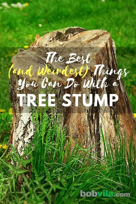 The Best (and Weirdest) Things You Can Do with a Tree Stump Tree Stumps Diy, Tree Stump Decor, Stump Planter, Stump Ideas, Tree Stump Planter, Log Planter, Landscaping Around Trees, Wood Stumps, Tree Stumps