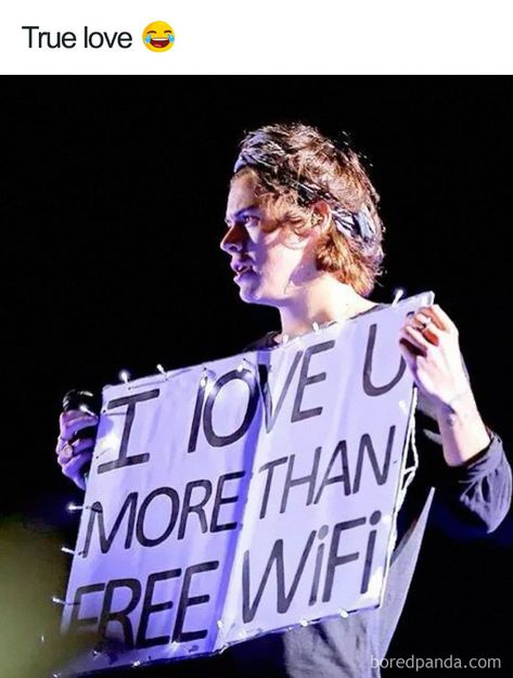 Concert Signs, Maze Runner Series, Harry Styles Concert, Marriage Vows, I Love U, I Love One Direction, On The Road Again, Sum Up, Leap Of Faith