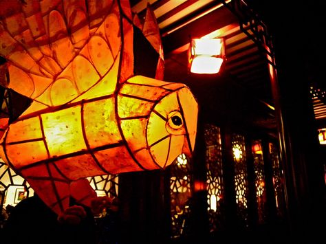 Paper Lantern Owl, Owl Lantern, Japanese Paper Lanterns, Lantern Art, Lantern Ideas, Halloween Arts And Crafts, Popular Crafts, Lantern Festival, How To Make Lanterns