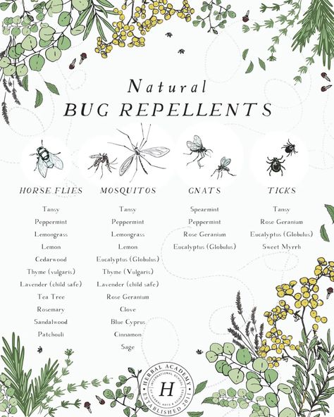 Herbal Academy, Natural Bug Repellent, Magia Das Ervas, Herbal Apothecary, Herbal Recipes, Herbal Healing, Herbal Magic, Bug Repellent, Rose Trees