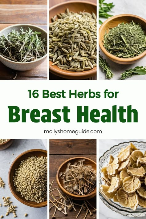 Discover the natural healing power of herbs for breast health. From prevention to support, incorporate Ayurvedic herbs for breast cysts and herbal remedies for estrogen dominance into your routine. Nourish your body with superfoods and foods for breast health to promote overall well-being. Explore the benefits of herbs like red clover, flaxseed, and turmeric in maintaining breast health and wellness. Perimenaupose Herbs, Holistic Medicine Recipes, Healing Herbs Medicine, Natural Medicine Recipes, Herbal Remedies Recipes, Red Clover, Estrogen Dominance, Herbal Recipes, Natural Healing Remedies