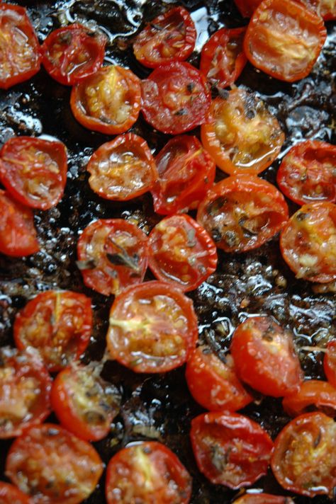 Cherry tomatoes grow like crazy in our garden. They are popping up everywhere. Rather than pull out all those volunteer tomato vines, I'm letting them grow. The challenge is finding something to do with all of them. This recipe is one of my new... Garden Tomato Recipes, Recipes To Freeze, Freezing Cherry Tomatoes, Lobster Stew, Roasted Grape Tomatoes, Tomatoes In Containers, How To Grow Tomatoes, Freezing Herbs, Cherry Tomato Recipes