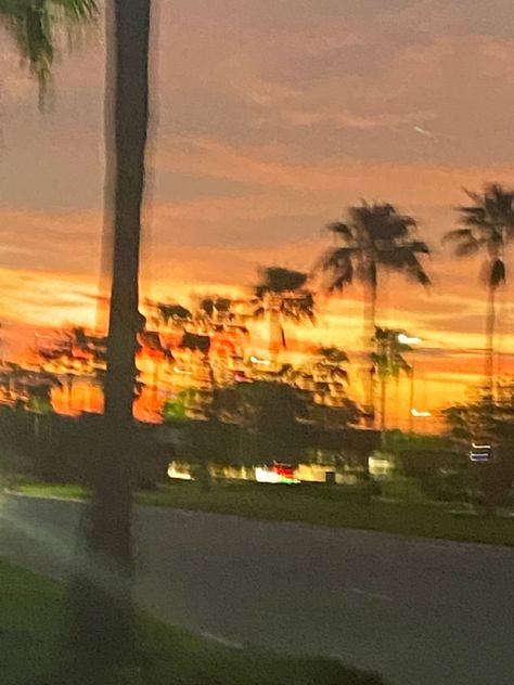 palm trees and sunset. Universal Boulevard. #universal #sunset #aesthetic #palmtrees #blurrypic #florida Sunset Boulevard Aesthetic, Trees And Sunset, Phone Widgets, Sunset Boulevard, Beautiful Skies, Spotify Covers, Toulouse Lautrec, Sunset Aesthetic, Summer Sunset