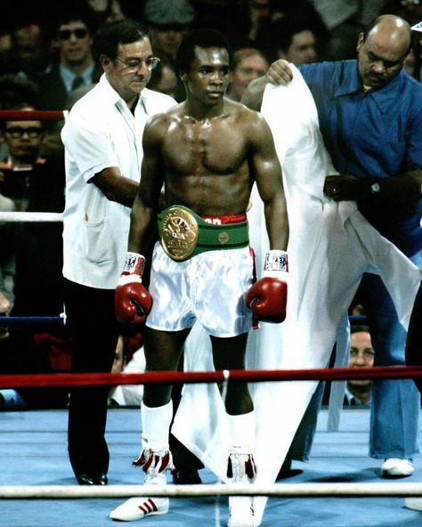 483 Me gusta, 15 comentarios - @boxingpastandpresent en Instagram: "Where do u rank the great Sugar Ray Leonard all time pound for pound? . . COMMENT BELOW…" Boxing Photos, Sugar Ray Leonard, Ray Leonard, Boxing Legends, Boxing Images, Vintage Boxing, Boxing Ring, Boxing History, Sports Personality