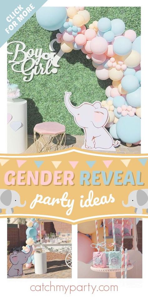 Elephant Theme Gender Reveal Party Ideas, Dumbo Gender Reveal Ideas, Gender Reveal Ideas Elephant, Gender Reveal Animal Theme, Animal Gender Reveal Ideas, Elephant Gender Reveal Party Decorations, Elephant Theme Gender Reveal, Elephant Gender Reveal Party, Elephant Gender Reveal