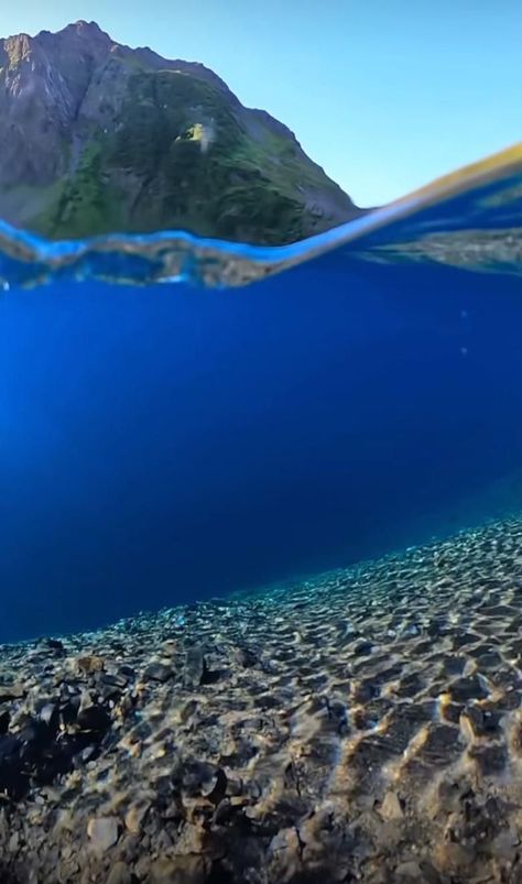 Most satisfying video I’ve ever seen before and under watergiving the sense of relaxationThis underwater video is captured perfectly the details and the sound are literally made for each otherunderwaterworld water blue relaxing peaceful perfect relaxation meditationmusic clear clearwater nature naturelovers Under Water Photography, Backgrounds Animation, Water Video, Road Trip Photography, Underwater Video, Trip Photography, Motion Wallpapers, Ancient History Facts, Most Satisfying Video