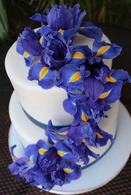 Fresh Iris cascading down a two tiered cake. Iris Wedding Theme, Wedding Cake Base, Gay Wedding Cakes, Iris Wedding, Learn Cake Decorating, Romantic Desserts, Wedding Cake Images, Birthday Cake With Flowers, Specialty Cake