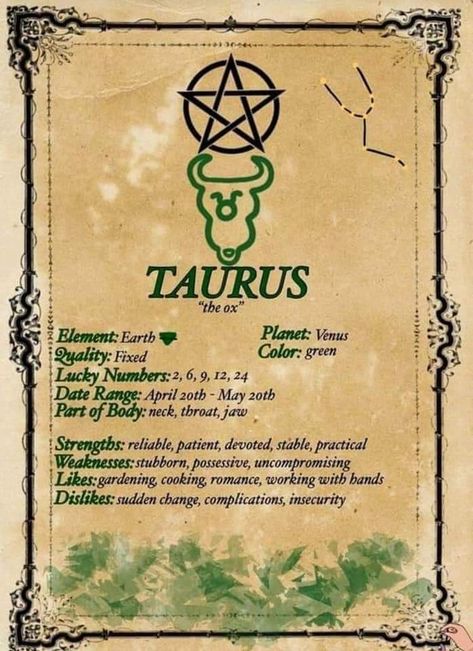 Lorelei on Twitter: "… " Kartu Tarot, Taurus Zodiac Facts, Astrology Taurus, Wiccan Magic, Elemental Magic, Zodiac Book, Grimoire Book, Wiccan Spell Book, Astrology And Horoscopes