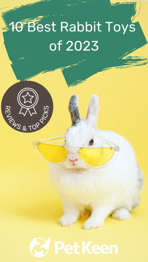 Perhaps the most important contributor to a rabbit’s quality of life is playtime! Combining the best of exercise and social stimulation, keeping your bunny entertained will not only ensure their continuing physical health, but also greatly benefit their mood and mental health. That’s why we’ve made this list of reviews for the best rabbit toys around. - read more... #petkeen #rabbittoys #pettoys #bestrabbittoys #rabbitowners #smallpets Rabbit Toys, Quality Of Life, Physical Health, Small Pets, Pet Toys, Life Is, Toys, Health, 10 Things