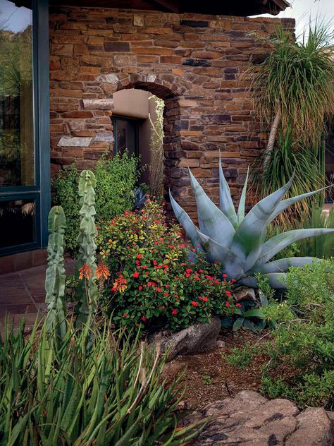 Phoenix Landscaping Ideas, Southwest Cottage, Phoenix Landscaping, Front Yard Planters, Desert Landscape Front Yard, Frontyard Landscape, Desert Landscaping Backyard, Cactus Landscape, Plant Palette