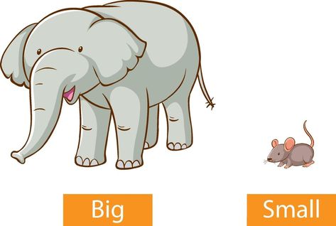 Big Small Flashcards, Opposites Preschool, Taal Posters, Big Illustration, Cute Powerpoint Templates, Adjective Words, English Grammar For Kids, Reading Comprehension Kindergarten, Grammar For Kids