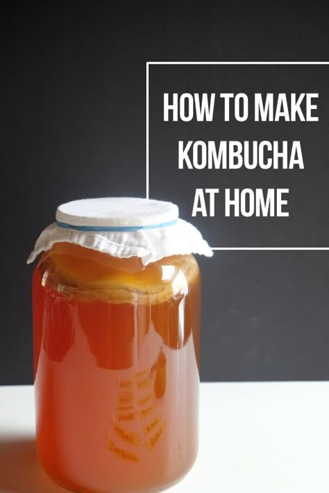 How to Make Kombucha At Home - Shutterbean Kombucha Health Benefits, Fermenting Foods, Making Kombucha, Best Kombucha, Kombucha Recipes, Kombucha Benefits, Tea Homemade, How To Brew Kombucha, Homemade Kombucha