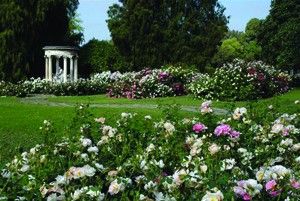 The Huntington Library, Art Collections and Botanical Gardens on http://www.hortmag.com Shakespeare Garden, Huntington Gardens, Sculpture Fountain, Los Angeles Aesthetic, Palm Garden, Huntington Library, Hillside Garden, Jungle Gardens, California Garden