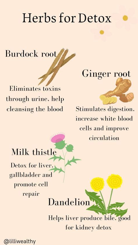 Herbs And Supplements, Heavy Metal Detoxification Herbs, Herbs For Detoxing, Detoxing Herbs, Homemade Electrolyte Drink Recipes, Herbs For Colds, Drink Recipes For Kids, Herbs Uses, Diy Electrolyte Drink