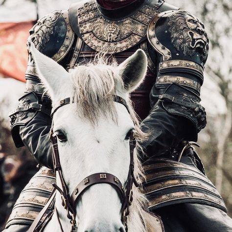 Jaime Lannister Cersei Lannister Jaime, Lannister Aesthetic, Hogwarts Founders, Shingeki No Bahamut, Robb Stark, Captive Prince, Got Characters, Dark Fairytale, Jaime Lannister