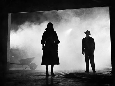 Film Noir Aesthetic, Noir Comic, Noir City, Film Noir Photography, Noir Photography, The 39 Steps, Classic Film Noir, Double Indemnity, Noir Detective