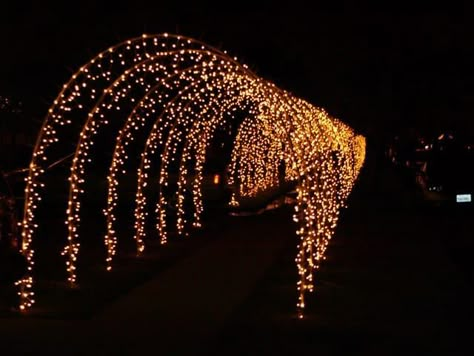 Create a captivating light tunnel to enhance the grand entrance at your outdoor party. This lighting idea will add a touch of elegance and create a welcoming atmosphere for your guests. Illuminate the path with fairy lights or LED strips for a magical effect. Visit this article for more ideas! Arch Light, Christmas Lights Outside, Lights Outside, Entrance Lighting, Light Tunnel, Hanging Christmas Lights, Christmas Light Installation, Wedding Entrance Decor, Prom Decor