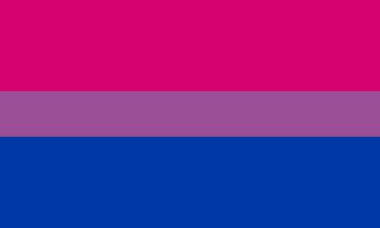 Bisexual Symbol, Different Pride Flags, Lgbtq Pride Flags, Straight Ally Flag, Gender Spectrum, Straight Ally, Dodie Clark, Star Wars Novels, Bi Flag