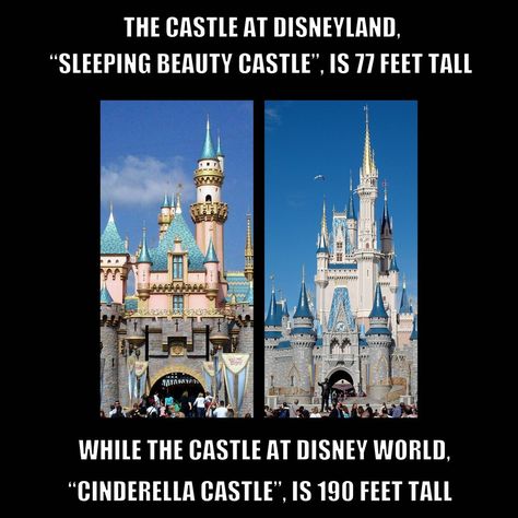 Fun fact! Disney World Facts, World Facts, Disney Punk, Disneyland Secrets, Characters Disney, How To Believe, Disney Secrets, Disney Theory, Punk Disney