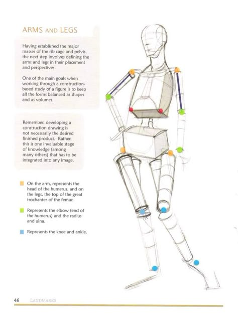 Michael hampton  figure drawing - design and invention Michael Hampton, Figure Drawing Tutorial, Male Figure Drawing, Human Body Drawing, Human Body Art, Anatomy Tutorial, Human Anatomy Drawing, Human Figure Drawing, Anatomy Sketches