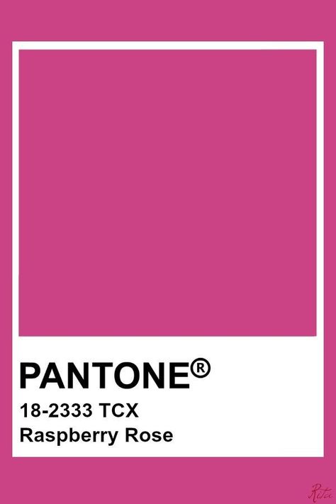 Raspberry Aesthetic Pink, Pantone Color Names, Raspberry Aesthetic Color, Pantone Pink Shades, Pantone Raspberry, Pantone Rosa, Raspberry Aesthetic, Pantone Rose, Pink Pantone