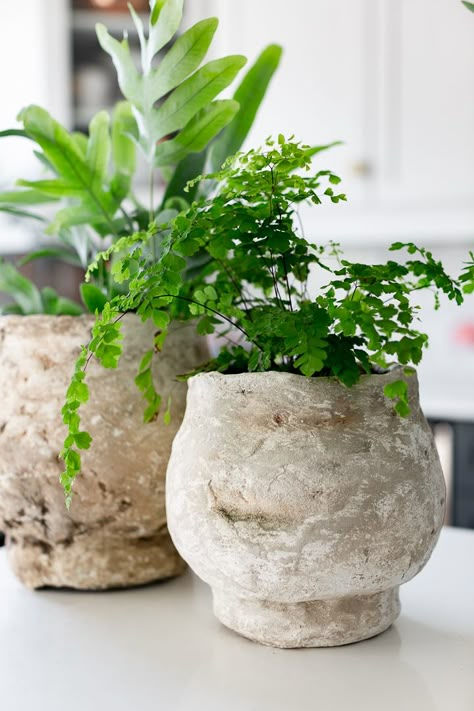 Antique Terra Cotta Pots, Diy Painted Vases, Aging Terra Cotta Pots, Diy Terra Cotta Pots, Diy Concrete Planters, Concrete Diy Projects, Rustic Pottery, Terra Cotta Pots, Concrete Pots