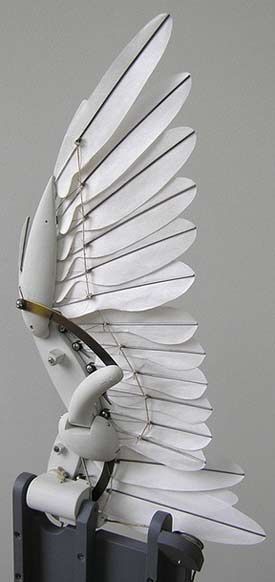 Mechanical bird wing with individual feathers folds and flaps: Mechanical Bird, Bird Puppet, Marionette Puppet, Mechanical Art, Puppet Making, Arte Robot, Bird Wings, Kinetic Art, Kinetic Sculpture