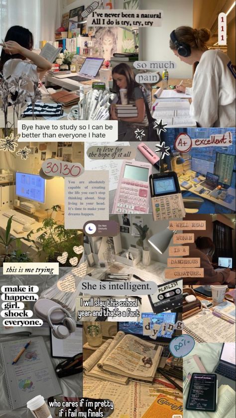 Academic Validation Moodboard, Grad School Mood Board, Mood Boards Study, Academic Motivation Collage, Study Motivation Academic Validation, Academic Comeback Wallpaper, Quotes Academic Validation, Study Motivation Aesthetic Photos, Study Aesthetic Moodboard