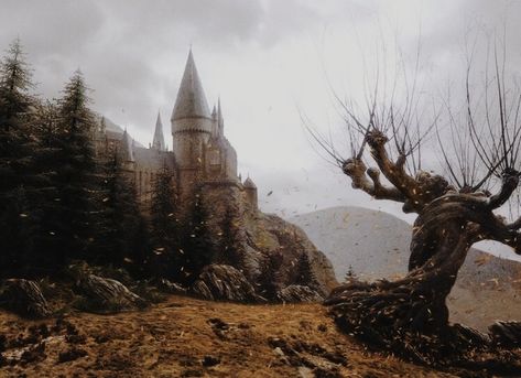 The Whomping Willow, Whomping Willow, Arts Month, Harry Potter Wall, Welcome To Hogwarts, Hogwarts Aesthetic, Slytherin Aesthetic, Harry Potter Film, Harry Potter Wallpaper