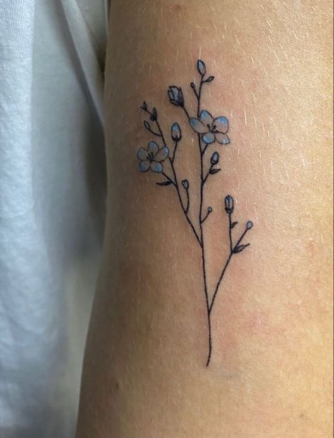 Forget Mr Not Flower, Simple Forget Me Not Drawing, Forget Me Not Flowers Drawing Simple, Simple Forget Me Not Tattoo, Forget Me Not Sketch, Tattoo Forget-me-nots, Small Forget Me Not Tattoo, Fine Line Forget Me Not Tattoo, Dont Forget Me Flowers Tattoo