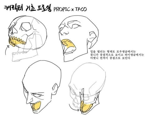 Mouth Drawing, Anatomy Tutorial, Human Anatomy Drawing, Drawing Heads, Anatomy Sketches, Body Reference Drawing, Anatomy References, Drawing Faces, Sketches Tutorial