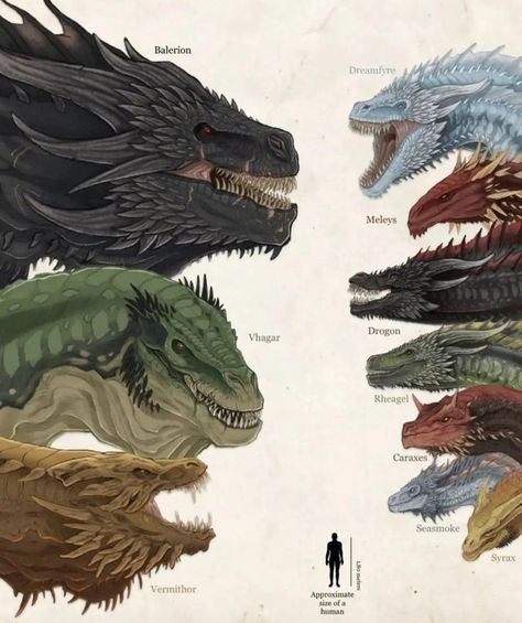 Dragon From Game Of Thrones, Dragons From Game Of Thrones, Dragon Looking At You, Fourth Wing Dragons, Fire Dragon Art, Dragon House Of The Dragon, Game Of Thrones Drawings, Got Dragon, Asoiaf Dragons